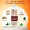 Folliculitis Treatment Clarifying Shampoo with Salicylic Acid to Remove Build Up, For Normal to Oily Scalp. Prone to Folliculitis, Dandruff, Itchy & Flaky Scalp, Seborrheic Dermatitis Paraben-Free.