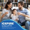 ICEPURE CS-52 Refrigerator Water Filter, Compatible with Bosch 640565, Whirlpool WHKF-R-PLUS, EVOLFLTR10, Cuno CS-52, CS-51, CS-450, CS-451, CS-452, 5553629, 55866-05, 55866-06, 5586606, Pack of 2