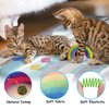 Andiker Catnip Toy&4pcs Cat Spring Toys, Colorful Plush Rainbow Pet Pillow, Cat Chew Toy for Kitten Scratch, Bite and Hug, Interactive Cat Toy for Indoor Cats to Smooth Mood and Relax (Darker)