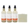 Bath & Body Works Aromatherapy Orange + Ginger 3 Pack Essential Oil Mist Gift Set Bundle with a Natural Oats Bar Soap - Full Size