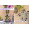 Fluorite Aquarium Gravel Rocks Natural Tumbled Healing Crystal Chips Bulk Gemstones Tumbled Crushed Stones for Fountain Vase Filler Planters Decorative Fish Tank Potted Reiki Energy Balancing 0.44lb