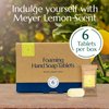 CLEANOMIC Foaming Hand Soap Tablets (6 Pack) - Foaming Hand Soap Refills, Foam Soap Refill, Hand Wash Foaming Soap Refill Tabs, Foaming Soap Tablets (Meyer Lemon)
