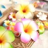 Jinshining 10Pcs Multicolor Hawaii Plumeria Flower Clips, Artificial Tropical Flower Hairpins for Wedding, Beach Party Hair Clips and Barrettes, Hair Accessory, 10 cm, Unisex, 10 Pieces