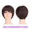 HSPJHTM Short Brown Wig, Short Wigs for Women,Cut Wig with Bangs Hair Wigs Natural Straight Layered Hairstyles for Daily Wear Wig(Free Wig Cap) Dark Brown