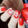 Whats Up Nails - Hibiscus Nail Vinyl Stencils for Nail Art Design (1 Sheet, 20 Stencils)