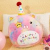 Athoinsu 12" Happy Birthday Bear Plush Pillow Cute Rainbow Stuffed Animal Soft Kawaii Birthday Plushie Star Wink Funny Pillows Home Room Decoration Gifts for Toddlers Kids Girls