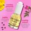 Burt's Bees Stocking Stuffers, Gua Sha Face Oil With Rosehip Seed Extract, Reduces Appearance of Fine Lines and Wrinkles, Use with Ice Roller & Facial Tools, Natural Origin Skin Care, 0.51 fl. oz.