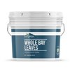 Earthborn Elements Whole Bay Leaves 1 Gallon Bucket, Savory, Bulk Size