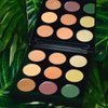 Palladio Ultimate 9-Count Eyeshadow Palette, Talc-Free Formula, High Pigmented Shades in A Mix of Matte & Shimmer Finishes, Blendable Long Lasting Colorful Professional-Grade Makeup (Natural Earth)
