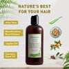 Just Nutritive Thicker Hair Shampoo | Hair Thickening | Hair Growth Thickening Shampoo | Grow Thick Hair | Hair Thickening Treatment for Men and Women 16 Oz