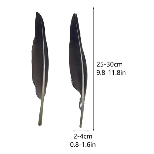 LWINGFLYER 25pcs 10"-12" Long Goose Feathers Quill for Pen Craft Festival Halloween Hats Costumes Decorations (Natural)