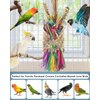 Bissap Bird Chew Toys, Parrot Foraging Shredder Natural Palm Frond Woven Bag Hanging Cage Toy with Chewing Treats for Conure Budgie Cockatiel Cockatoos and Similar Sized Pet Birds