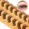 Brown Lashes Eyelashes Cat Eye Natural Look Lash Extension D Curl Wispy Clear Band Brown Eyelashes Fluffy Faux Mink Lashes Pack by Mavphnee