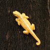 lizard Garden Statue Tree Hugger lizard Decor Outdoor Statues Collectible Resin Garden Sculpture Tree Pendant Animal Sculpture Funny lizard Tree Art Decoration for Garden, Yard