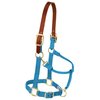 Weaver Leather Nylon Adjustable Breakaway Horse Halter, Small, Hurricane Blue