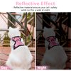 Dooradar Cat Harness and Leash Set, Escape Proof Safe Adjustable Kitten Vest Harnesses for Walking, Easy Control Soft Breathable Mesh Jacket with Reflective Strips for Cats, Pink, XS