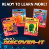 Top Secret Toys Discover-It Dissection Kit for Kids, Owl Pellet Science Lab Kit to Learn About Animals, Science Toys for Kids Ages 5 and Above