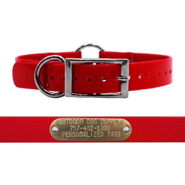 Outdoor Dog Supply's 1" Wide Solid Ring in Center Dog Collar Strap with Custom Brass Name Plate (18" Long, Red)