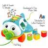 Musical Shape Sorter Plane, Pull-Along Toy - Talking and Singing Airplane Toy with Music for Toddlers and Kids, Ages 12 Months+