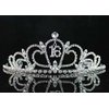 Sweet Sixteen 16 16th Years Old Birthday Party Floral Rhinestone Crystal Princess Tiara Crown With Hair Combs Cake Topper Head Jewelry Silver T1722