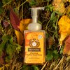 Moon Valley Herbal Foaming Hand Soap, Vegan (By the Fire, Recyclable Bottle)