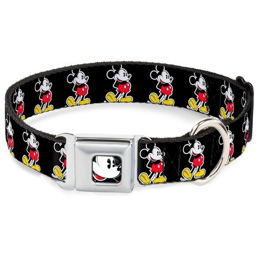 Dog Collar Seatbelt Buckle Jasmine Aladdin Carpet Ride Jasmine Poses Flowers 13 to 18 Inches 1.5 Inch Wide