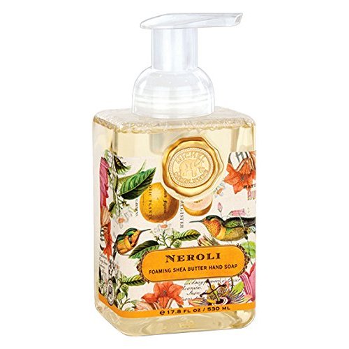 Michel Design Works Foaming Hand Soap, 17.8-Ounce, Neroli