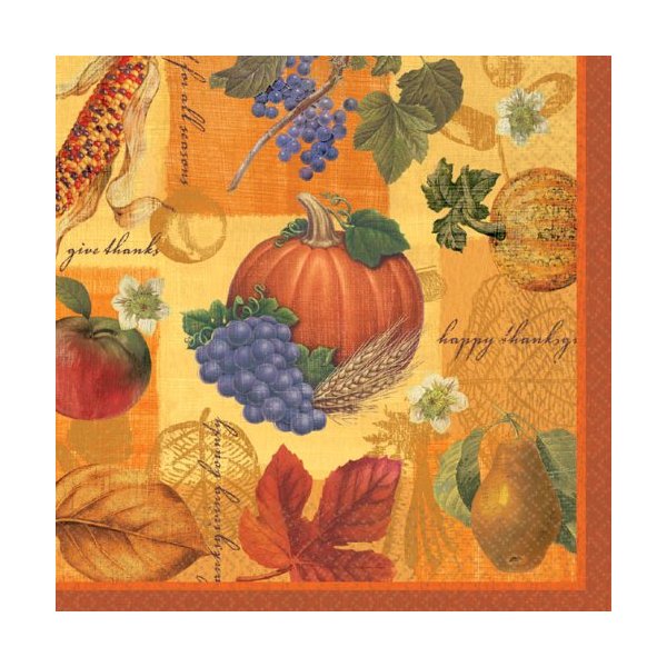 Fall Thanksgiving Scrapbook Beverage Napkins Celebration Parties Harvest 16 Pk