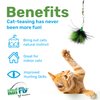 Kat Fly Cat Wand Refill Teaser Toy - Interactive Cat Wand Toy Attachments for Indoor Cat and Kitten - Cat Toy with Real Feather Best Cat Toys for Bored Cats, Cat Teaser Toy - Bug (Green)