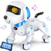 MindPal Robot Dog Remote Control Robot Toys with Sing Dance, Kids Robot Toy, 17 Functions Dog E Interactive Robot Dog for 6+, Programmable Smart Interactive Robotic Pets