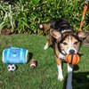 Glow Pups Sports Bag Hide and Seek Dog Toy, 3 Plush Balls with Squeakers, Basketball, Soccer Ball, Football