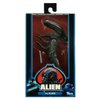 Alien 7 Wave 3 Action figure Xenomorph(H856060)