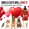 Multivitamin for Dogs & Cats | Multivitamin for Cats | Dog Vitamins Multivitamin | Pet Vitamins | Vitamin for Cats | Liquid Dog Vitamins | Liquid Cat Vitamins