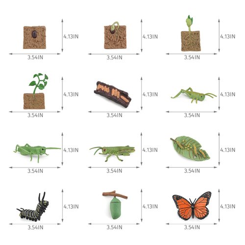 12PCS Life Cycle Figurines Toy Set of Butterflies Grasshoppers and Plants Figures Preschool Toys Kit Science and Educational Auxiliary Toys Cake Toppers Party Favors for Kids Toddlers Boys and Girs
