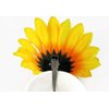 6PCS Beautiful Sunflower Hair Alligator Clips Hair Clamp Hair Styling Accessories for Lady Girls Party Beach Vacation Wedding Decoration