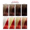 Adore Semi Permanent Hair Color - Vegan and Cruelty-Free Red Hair Dye - 4 Fl Oz - 060 Truly Red (Pack of 1)