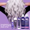 One 'n Only Shiny Silver Ultra Color-Enhancing Conditioner, Restores Shiny Brightness to White, Grey, Bleached, Frosted, or Blonde-Tinted Hair, Protects Hair Color - 12 Fl. Oz