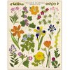 Cavallini 1000 Piece Puzzle, Pressed Flowers (PZL/PF)