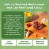 Ashwagandha Gummies and Lions Mane Mushroom Gummies Supplement - Organic - Reishi, Cordyceps, Turkey Tail, Maitake, Shitake, Chaga - Immune Defense, Boosts Cognitive Performance, Vegan, Low Carb