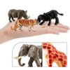 LC JoyCre Cake Toppers Jungle Animal 12PCS Wild Animal Figure Tiger Lion Panda Figurines Party Supplies Gift Toys for Kid Boys Girls Toddlers