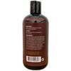 Duffy's Brew Beer Shampoo, 12 Ounce Hair Care Made with Premium IPA Craft Beer, Hair Shampoo that Nourishes, Thickens, and is Color Safe