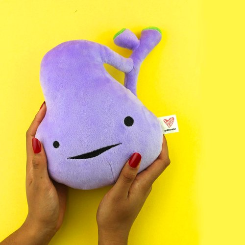 I Heart Guts Gallbladder Plush Toy - You’ve Got Gall! - 8" Educational Organ Stuffed Animals - Gallbladder Surgery Recovery Gifts, Ideal for Doctors, Nurses, Graduation