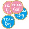 Mr.Mug Gold Gender Reveal Stickers- 80 Pack Team boy and Team Girl Baby Shower Sticker Labels, Perfect Gender Reveal Party Supplies, 2 Inch.