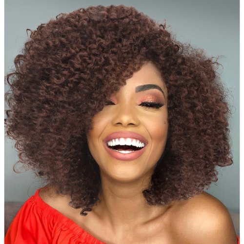 WIGER 6 inches Short Kinky Curly Wigs Brown Side Part Twist Out Wigs Afro Curly Wigs for Black Women Synthetic Wigs for Women Daily Use(30#)