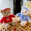 Galatee 11.8'' Teddy Bear Stuffed Animal Plush Toy,Cute Bear Plush Pillow with Hoodie,Plush Toy for Kids(Red)