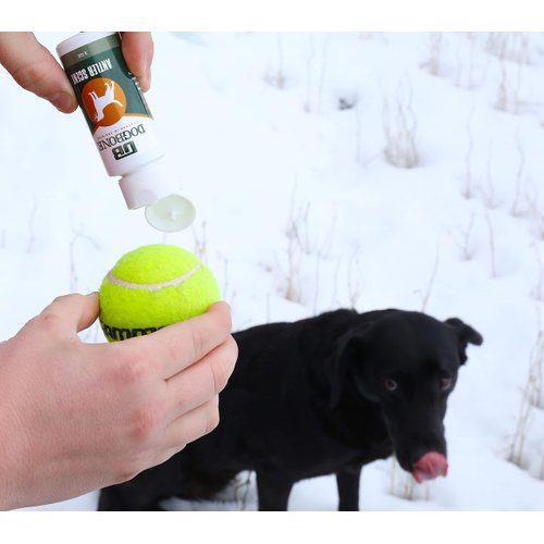 DogBone Antler Scent for Training Your Shed Hunting Dog | Dog Training Kit | Hunting Dog Accessories | Dog Training Tools | Dog Scent Training Kit | Scent Training for Dogs | Hunting Dog Toys