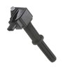 Delphi GN10883 Ignition Coil