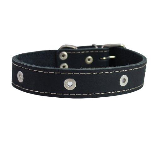 Genuine Leather Studded Dog Collar, Black, 1.5" Wide. Fits 16.5"-20.5" Neck Size Amstaff