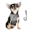 FEimaX Dog Harness and Leash Set for Walking, Soft Mesh Adjustable Easy Control Lightweight Cat Vest Harnesses with Reflective Strips, Escape Proof Small Dogs Cats Vests (Grey, X-Small)