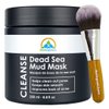 My Organic Zone Dead Sea Mud Mask for Face and Body - Best Facial Cleansing Clay for Blackheads, Whiteheads, Acne and Clogged Pores | Hydrates Skin & Improves Oily Skin (250g./8.8oz.) (+Brush)